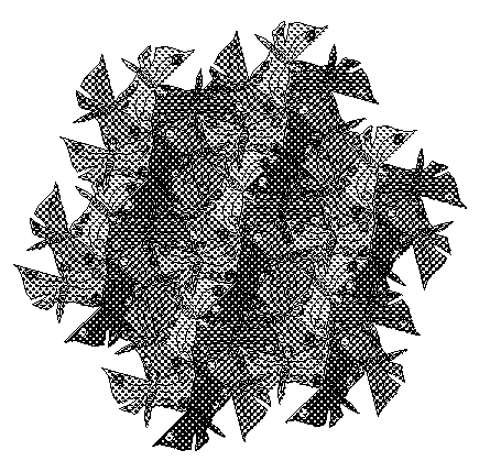 Escher's ``Circle Limit''